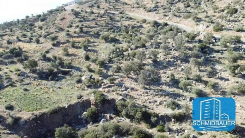 Agios Georgios bei Agia Galini Kreta, Agios Georgios: Fantastisches Grundstück mit Baugenehmigung für ein Haus mit Gästehaus und Swimmingpool Grundstück